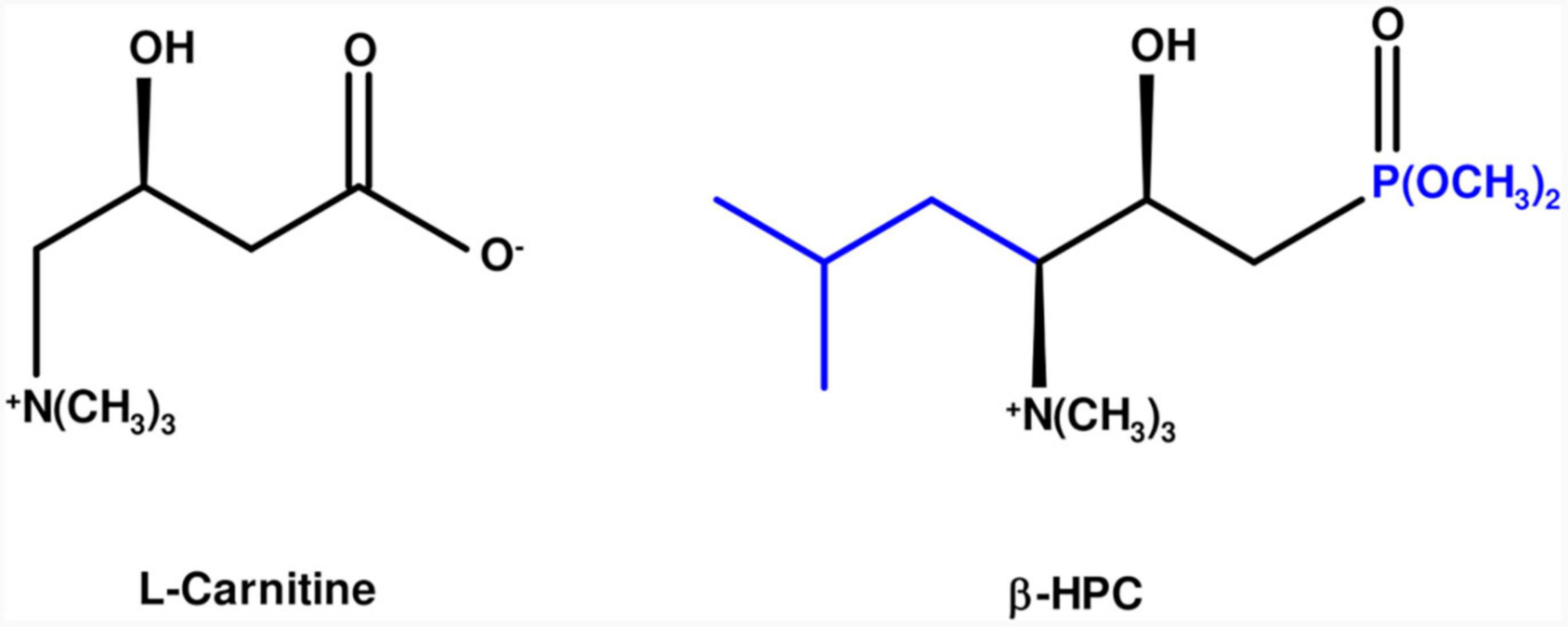 Effect of β − hydroxy − γ -aminophosphonate (β − HPC) on the hydrolytic activity of Nocardia brasiliensis as determined by FT−IR spectrometry